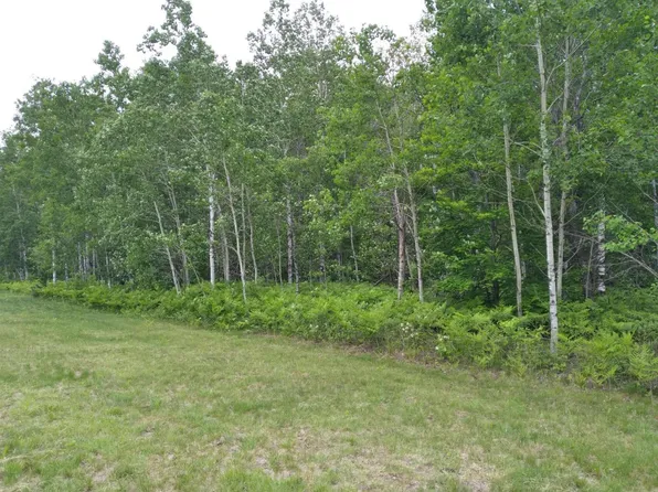 123 Montrose Dr, Mancelona, MI 49659