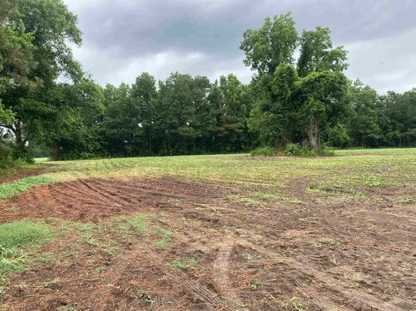 Tract B Wildflower Rd., Hemingway, SC 29554