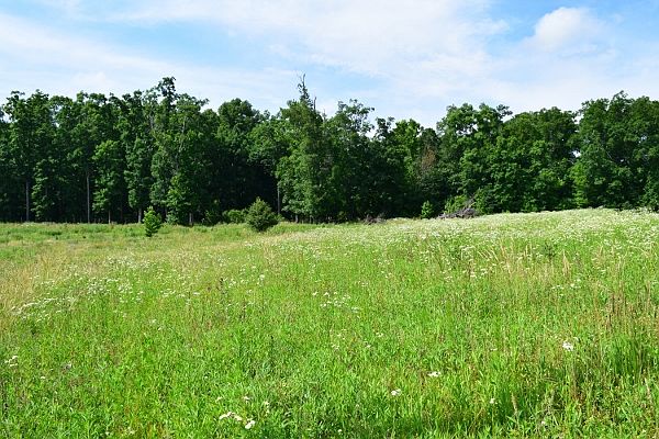 2nd image of 285 Flatwoods Road