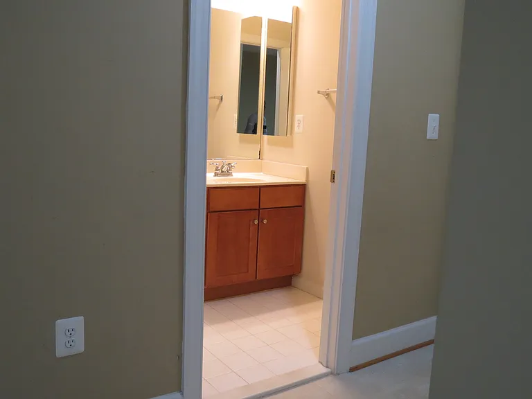 4484 Black Ironwood Dr — Photo 28