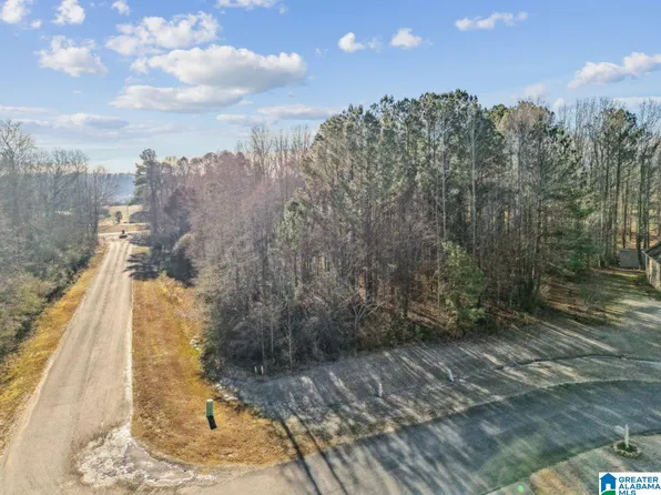 0 Branch Cv #25, Odenville, AL 35120