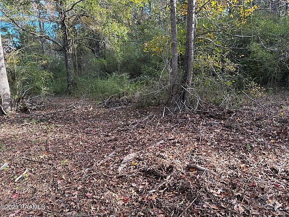5th image of 1090 Kordish Ln