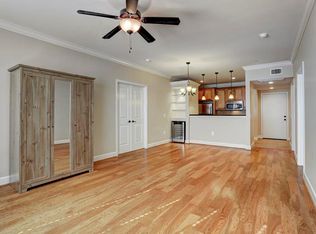 2203 Dorrington St APT 209, Houston, TX 77030