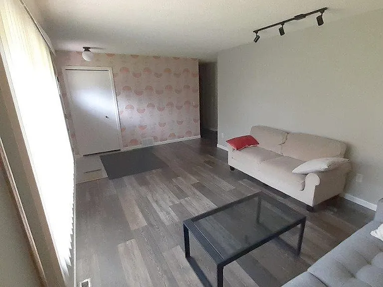 Living room (main level)