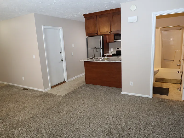 1111.5 S Chimney Hill Dr — Photo 7