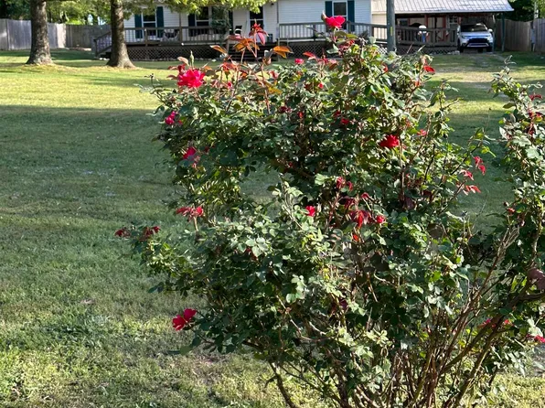 (undisclosed Address), Marshall, AR 72650