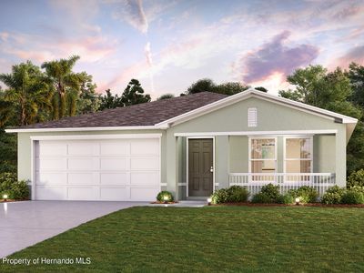 12171 Bagdad St, Spring Hill, FL, 34608