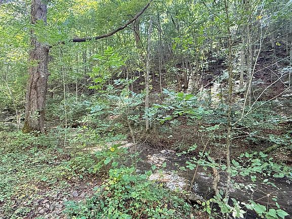 5th image of Cedar Branch Rd