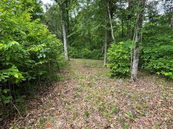 French Broad River Rd, Seymour, TN 37865