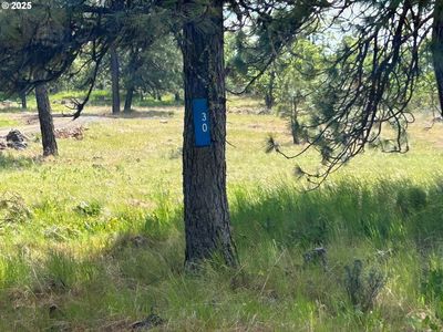 30 Lutz Pkwy, Goldendale, WA, 98620