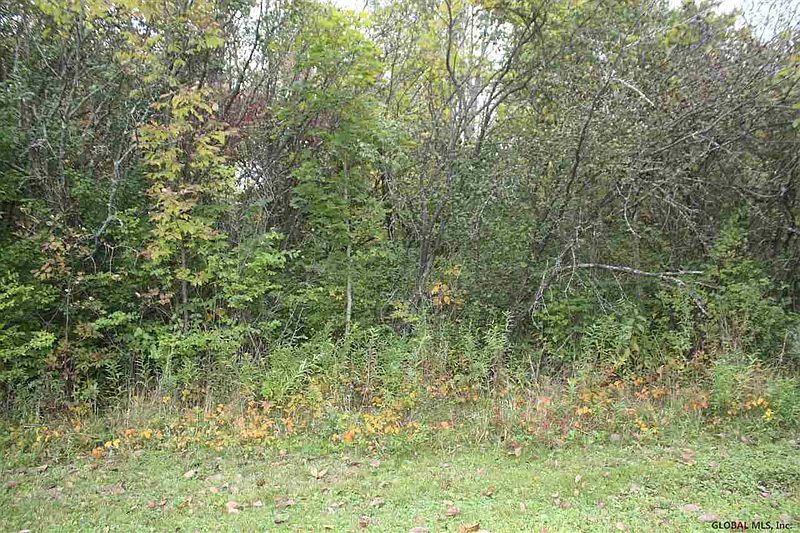 4th image of SNAKE HILL Road