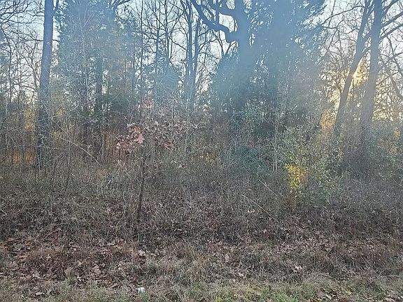 2nd image of 143 Rolling Hills Dr