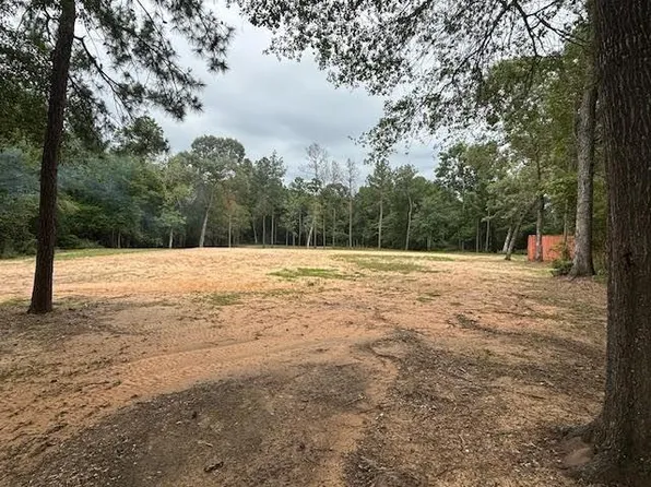 28171 Joseph Rd, Hockley, TX 77447