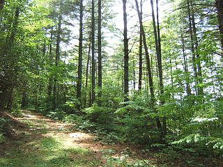 1st image of 00 Smokey Hollow LOT 20