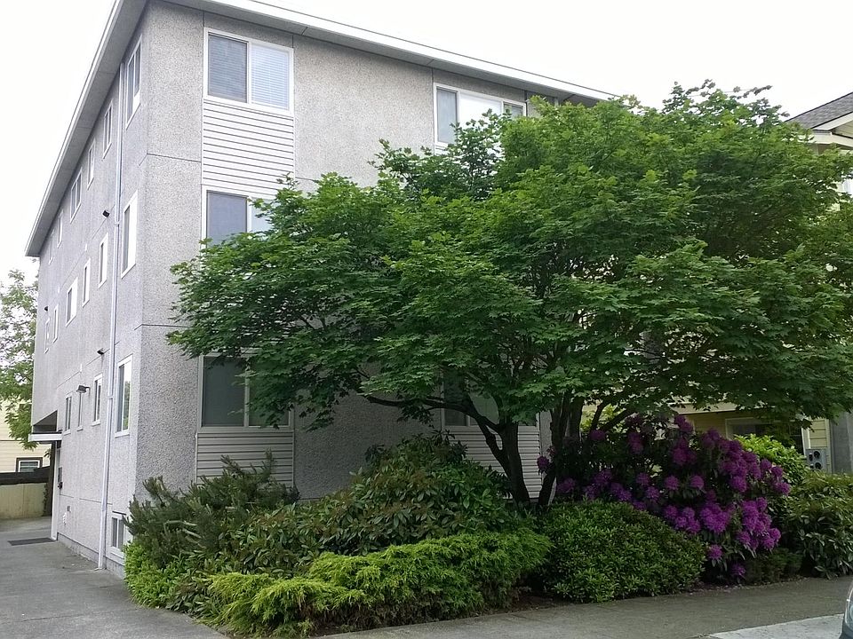 Building in spring.