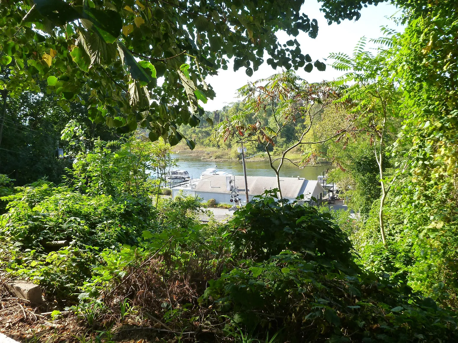 2 bed, 1200 sqft, $2,200 — Photo 3