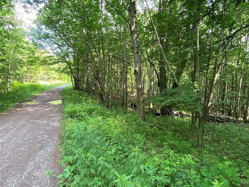 0 Turkey Ln, Hobart, NY 13788 Zillow