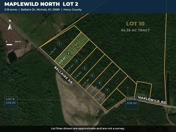 TBD Bellaire Dr. Lot 2, Nichols, SC 29581