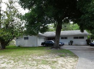 1317 N Buena Vista Ave, Orlando, FL 32818