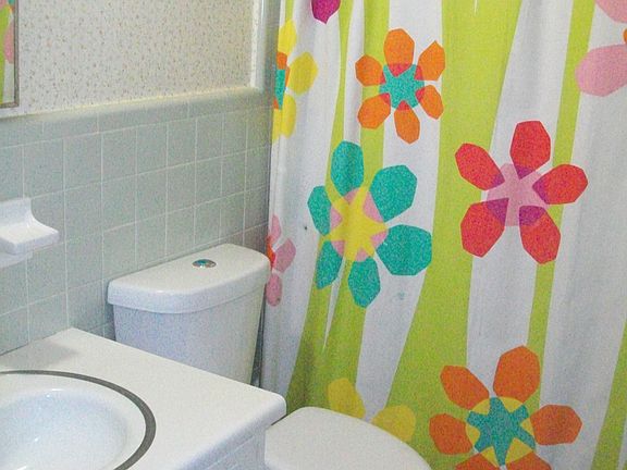 Hall Bathroom (tub/shower_