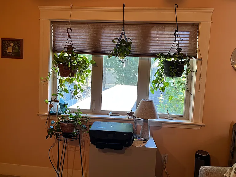 6 Manor St #2 — Photo 15