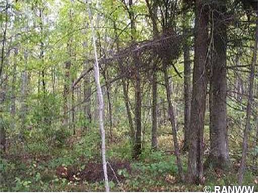 2nd image of 0 N Old Couderay Road