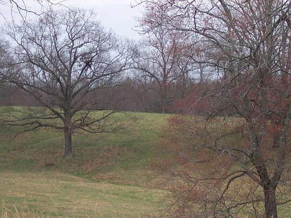 5th image of 1805 Yarborough Dr