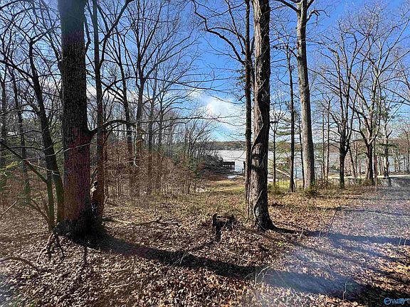 3rd image of 18387 Dement Rd