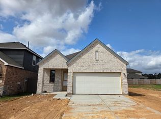 19028 Magnolia Willow Ln, Magnolia, TX 77355
