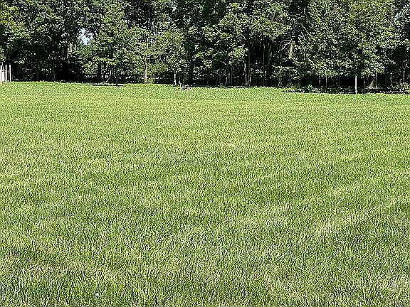 5th image of 7 Patterson Springs Dr