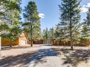45 Lupine Ln, Leadville, CO 80461