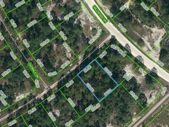 391 Cartier Ave #2, Lake Placid, FL 33852