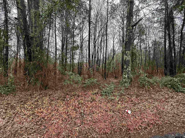 Fm 1519, Pittsburg, TX 75686