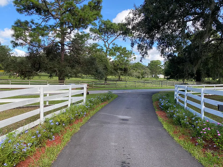 This view looks out towards a neighbors property.