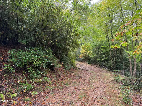 Tbd Clarktown Rd, Roan Mountain, TN 37687