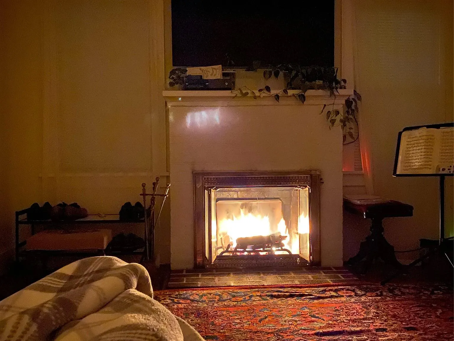 3 bed, 1.0 bath, 900 sqft, $3,800 — Photo 4