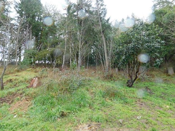 4th image of 3464 Glenbrook Loop Rd
