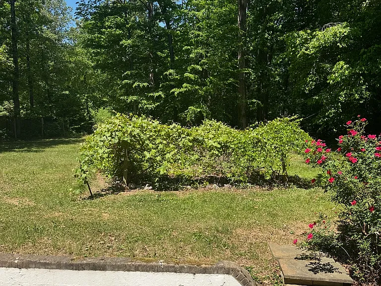 3820 Russell Rd — Photo 3