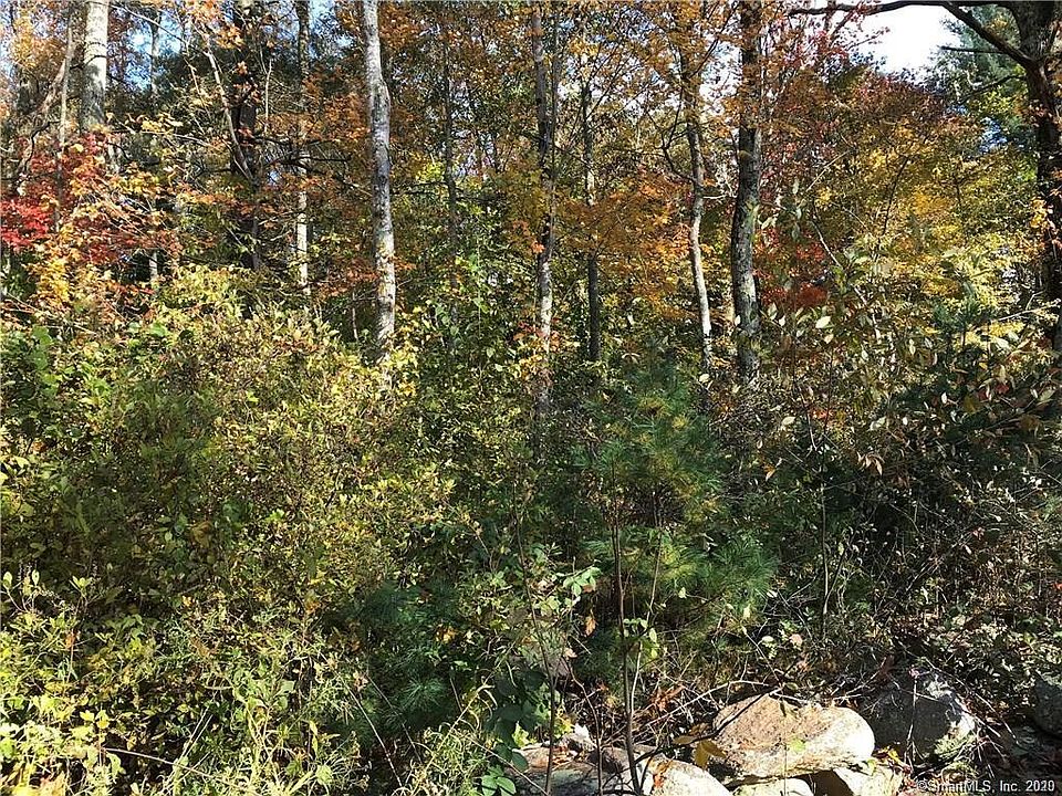 2nd image of 101 N Shore Rd
