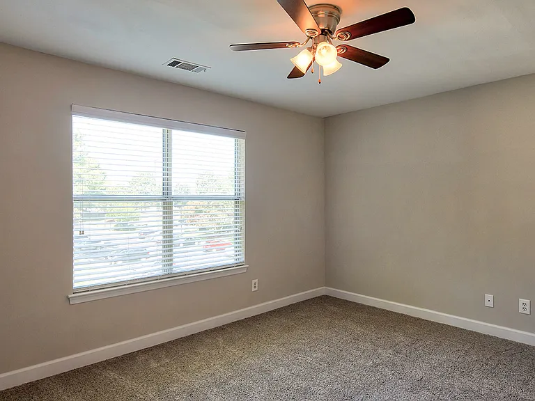Ceiling Fans