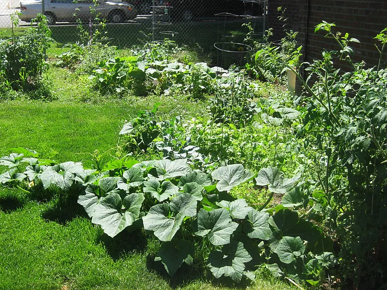 Cascadian Terrace — Photo 8