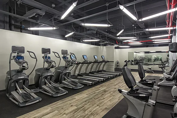 Rented by Stellar Management | media 1