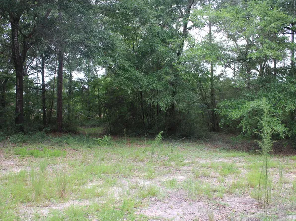 Simpson Ct, Defuniak Springs, FL 32433