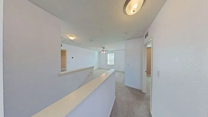 204 Gladiola Ct — Photo 11