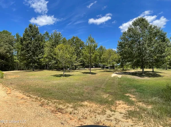 716 Michael McLeod, Mc Lain, MS 39456