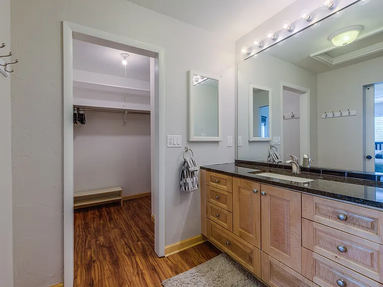 Master bath with walk-in closet.