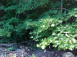 68 Alpine Meadow Rd, Greenfield, NY 12833