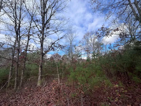 54 Wisteria Ct, Young Harris, GA 30582