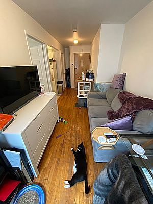 3rd image of 150 Orchard St APT 2c