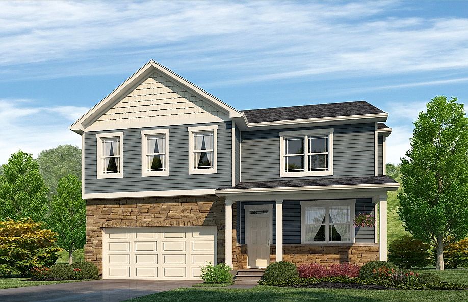 Elevation Image 1.